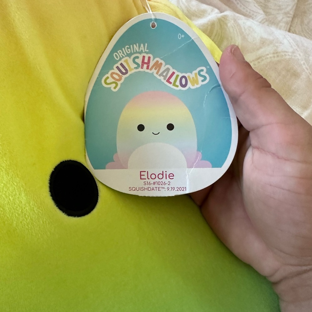 Rainbow Octopus